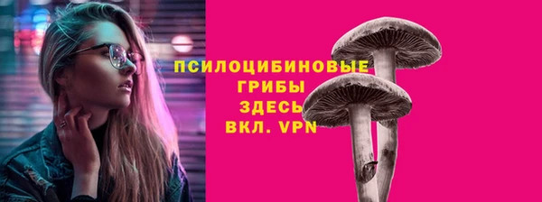 мет Абаза