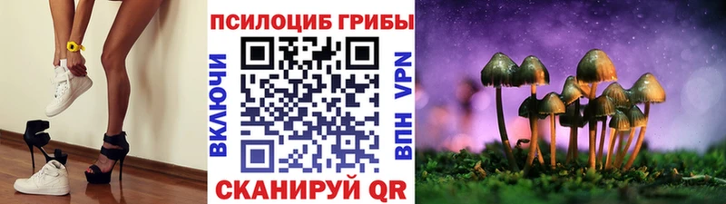 kraken онион  Кингисепп  Галлюциногенные грибы мицелий  наркота 